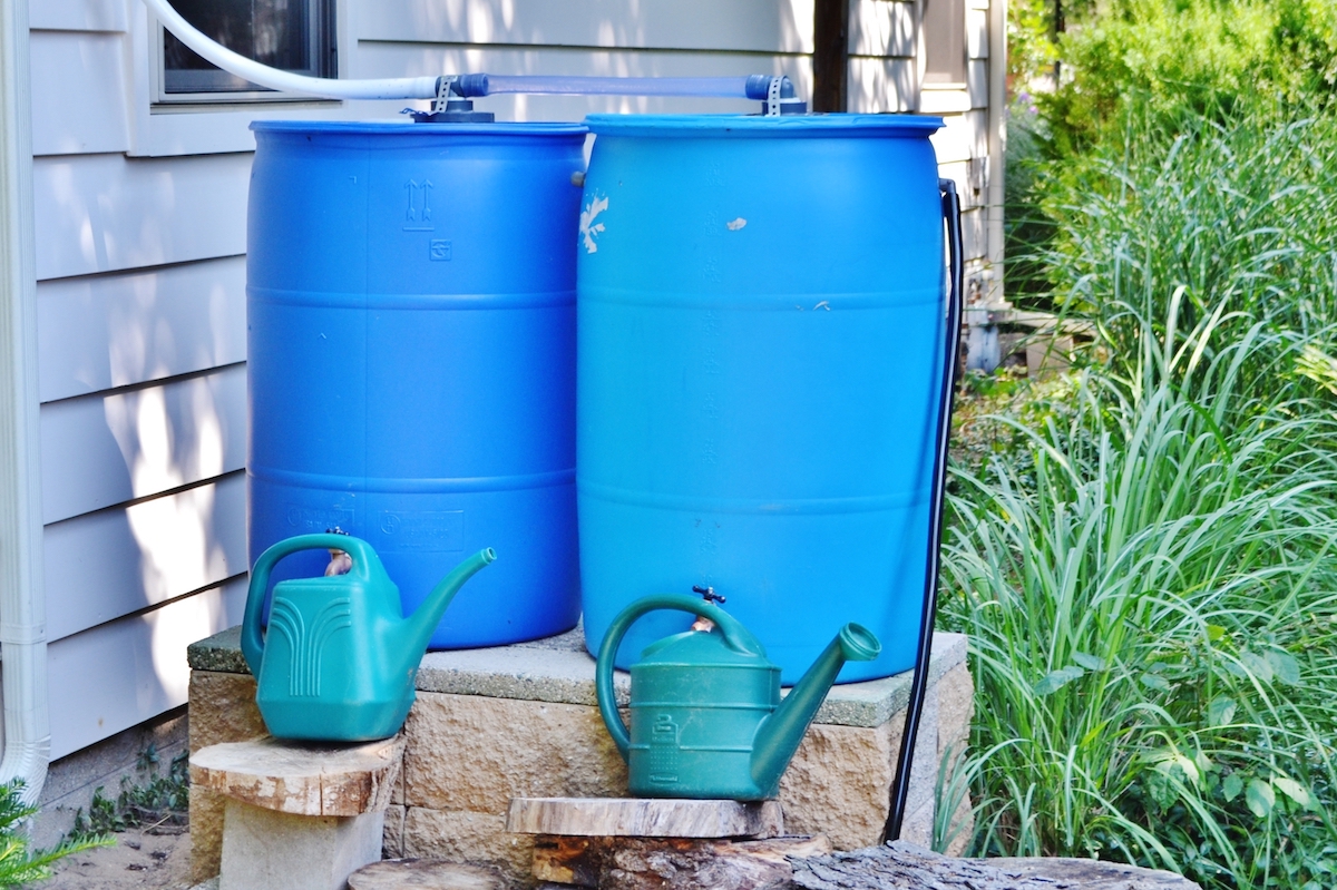 Water Conservation: Everything You Need to Know